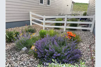 2989 Bittern Street, Castle Rock, CO 80104 - Photo 41