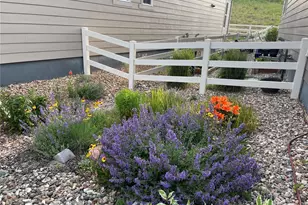 2989 Bittern St, Castle Rock, CO 80104 - Photo 41