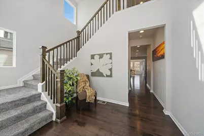 2989 Bittern Street, Castle Rock, CO 80104 - Photo 5