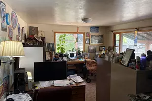 574 Co Rd 250, Durango, CO 81301 - Photo 9