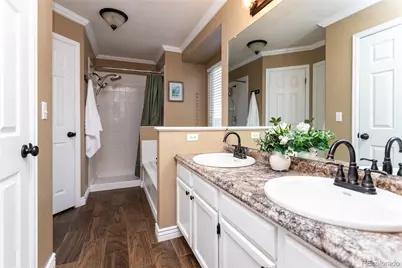 380 Dunhill Street, Castle Rock, CO 80104 - Photo 21