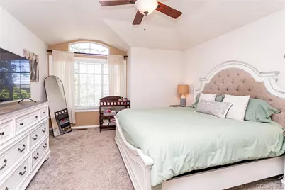 380 Dunhill Street, Castle Rock, CO 80104 - Photo 19