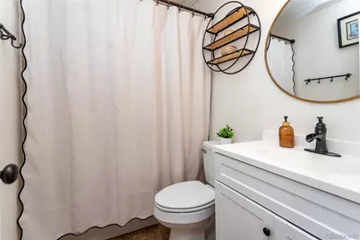 380 Dunhill Street, Castle Rock, CO 80104 - Photo 31