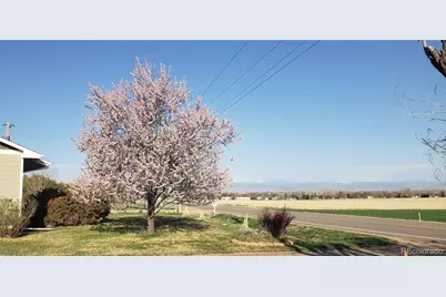 2344 County Road 12, Erie, CO 80516 - Photo 31