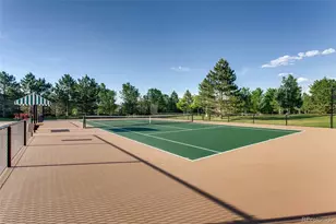 8643 Gold Peak Dr, Highlands Ranch, CO 80130 - Photo 37