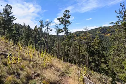 13126 Andiron Way, Larkspur, CO 80118 - Photo 9