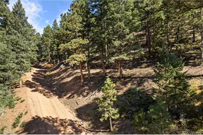 13126 Andiron Way, Larkspur, CO 80118 - Photo 7