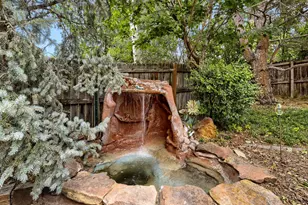 12932 S Carson Ct, Parker, CO 80134 - Photo 25