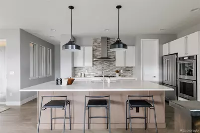 8910 Beekman Place, Denver, CO 80238 - Photo 5