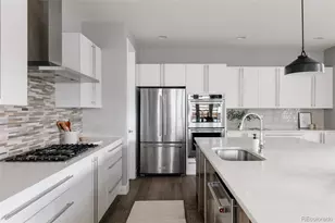 8910 Beekman Pl, Denver, CO 80238 - Photo 7