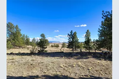 415 Olympic Circle, Hartsel, CO 80449 - Photo 11