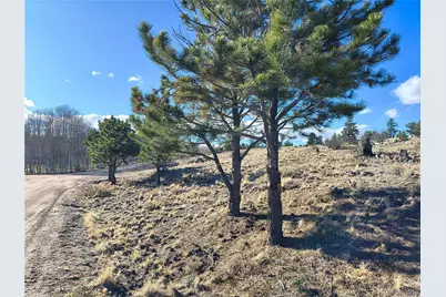 415 Olympic Circle, Hartsel, CO 80449 - Photo 3