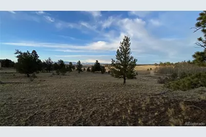 415 Olympic Circle, Hartsel, CO 80449 - Photo 29