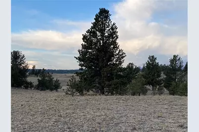 415 Olympic Circle, Hartsel, CO 80449 - Photo 17