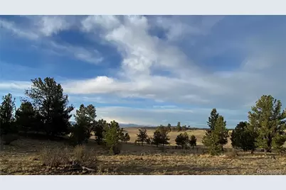 415 Olympic Circle, Hartsel, CO 80449 - Photo 37