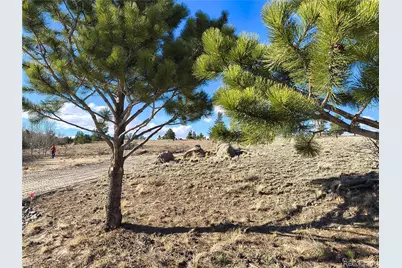 415 Olympic Circle, Hartsel, CO 80449 - Photo 7