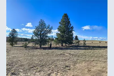 415 Olympic Circle, Hartsel, CO 80449 - Photo 5