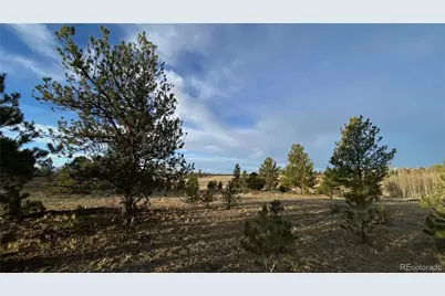 415 Olympic Circle, Hartsel, CO 80449 - Photo 35