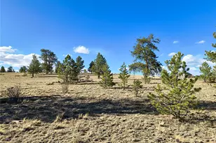415 Olympic Cir, Hartsel, CO 80449 - Photo 1