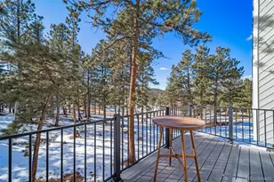 3454 Nova Rd, Pine, CO 80470 - Photo 23