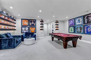 1202 Wildcat Bend Ct, Castle Rock, CO 80108 - Photo 45