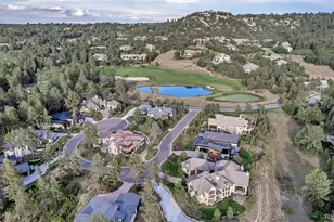 1202 Wildcat Bend Ct, Castle Rock, CO 80108 - Photo 49