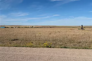 44225 Wolf Creek Dr, Bennett, CO 80102 - Photo 1