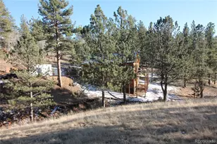 11845 S Stallion Dr, Pine, CO 80470 - Photo 29