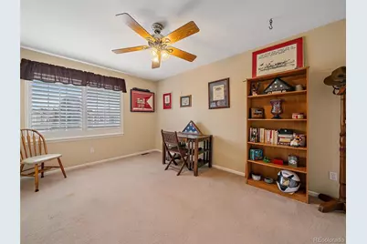 6523 Shannon Trail, Highlands Ranch, CO 80130 - Photo 25