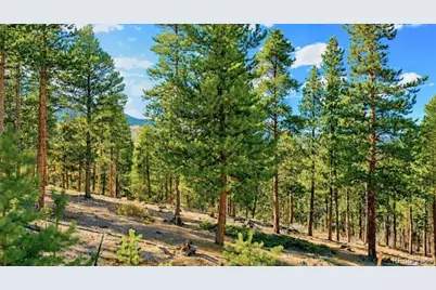 Lot 57 Lodgepole Drive, Twin Lakes, CO 80461 - Photo 7