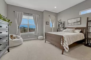 3158 Wingspan Pt, Castle Rock, CO 80108 - Photo 21