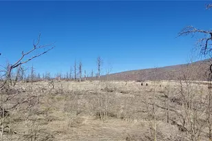 Lot 1566 Cary Ln, Fort Garland, CO 81133 - Photo 1