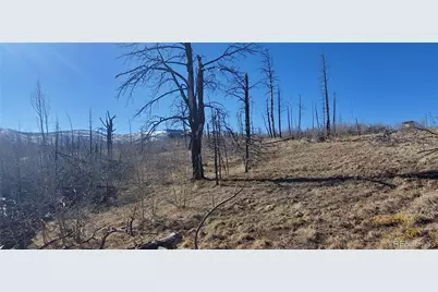Lot 1566 Cary Lane, Fort Garland, CO 81133 - Photo 3