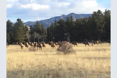 13909 Stone Chimney Lane, Pine, CO 80470 - Photo 43