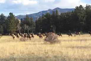 13909 Stone Chimney Ln, Pine, CO 80470 - Photo 43