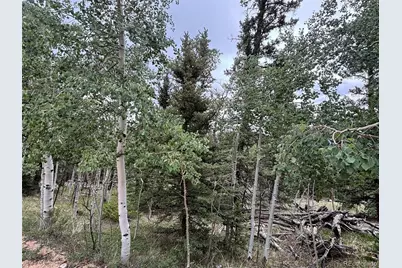 1928 Wells Fargo Circle, Jefferson, CO 80456 - Photo 11