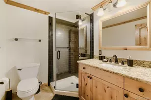 9518 Troon Village Dr, Lone Tree, CO 80124 - Photo 29