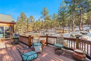 186 Territory Dr, Pine, CO 80470 - Photo 19