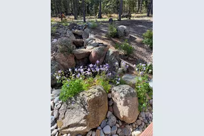 186 Territory Drive, Pine, CO 80470 - Photo 39