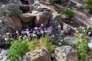 186 Territory Dr, Pine, CO 80470 - Photo 39