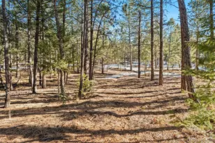 186 Territory Dr, Pine, CO 80470 - Photo 27
