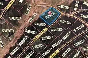 2424 Petito Dr, Fort Garland, CO 81133 - Photo 41