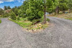796 Knickerbocker Rd, Westcliffe, CO 81252 - Photo 35