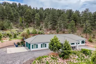 796 Knickerbocker Rd, Westcliffe, CO 81252 - Photo 43