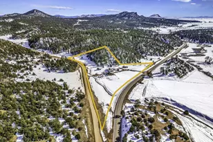 68600 State Hwy 69, Westcliffe, CO 81252 - Photo 31