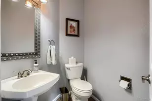 5941 Panther Hollow, Lone Tree, CO 80124 - Photo 19