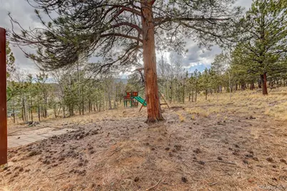 38 Mesa Court, Bailey, CO 80421 - Photo 37