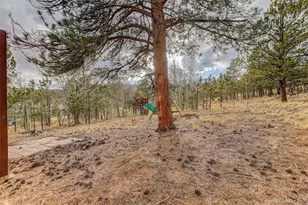 38 Mesa Ct, Bailey, CO 80421 - Photo 37