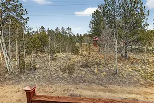 38 Mesa Ct, Bailey, CO 80421 - Photo 39
