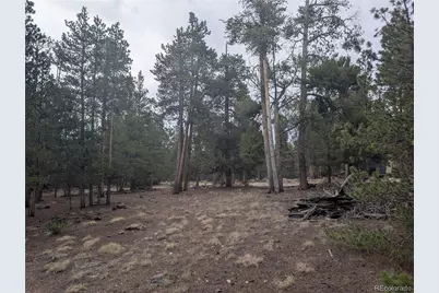 663 Spruce Drive, Twin Lakes, CO 80461 - Photo 11